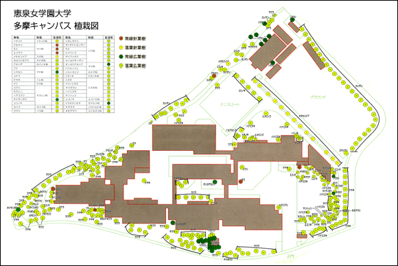 多摩キャンパスの樹木植栽図