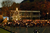 大学のクリスマスツリー点灯式