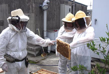 ミツバチの飼育を通したまちづくり（3年ゼミ）