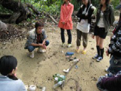 西表島干立の海岸清掃