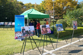 IYF青少年連合
