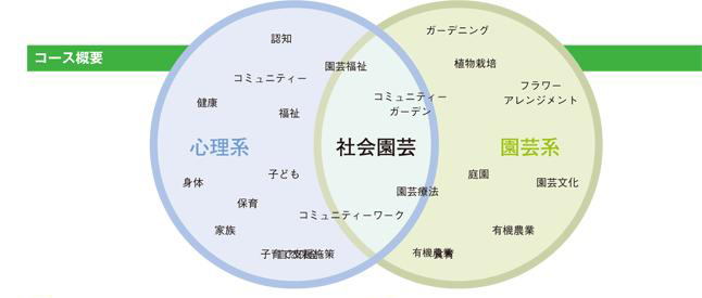 社会園芸学科のコース概要図