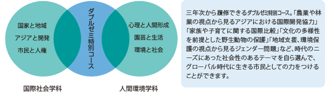 ダブルゼミ特別コースの概念図