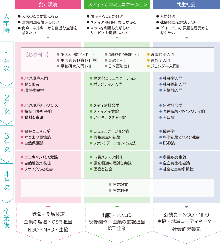 4年間の学びの流れ