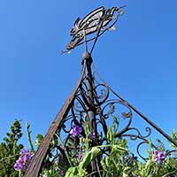 詳しくはこちら