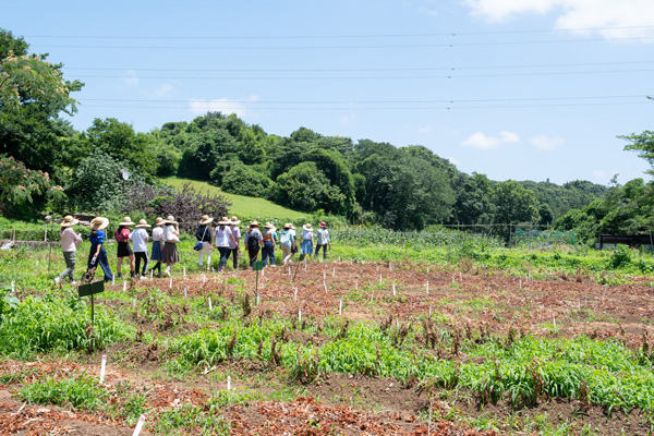 農場ツアー！