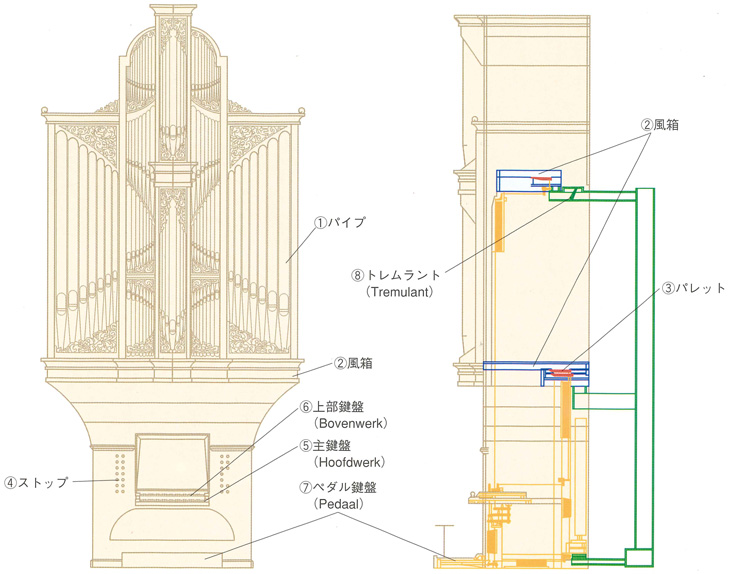 オルガンの構造