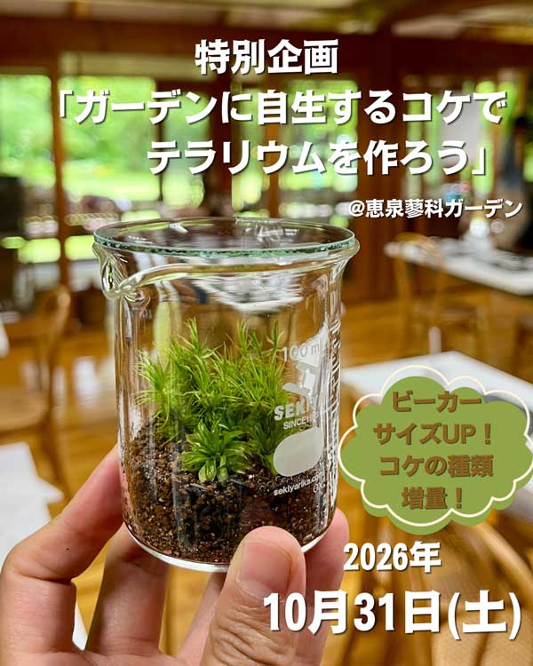特別企画 「ガーデンに自生するコケでテラリウムを作ろう」